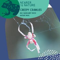 Creepy Crawlies @ RAC Nature Park Margaret River