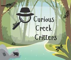 Curious Creek Critters @ RAC Nature Park Margaret River