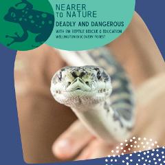 Deadly or Dangerous @ WDF