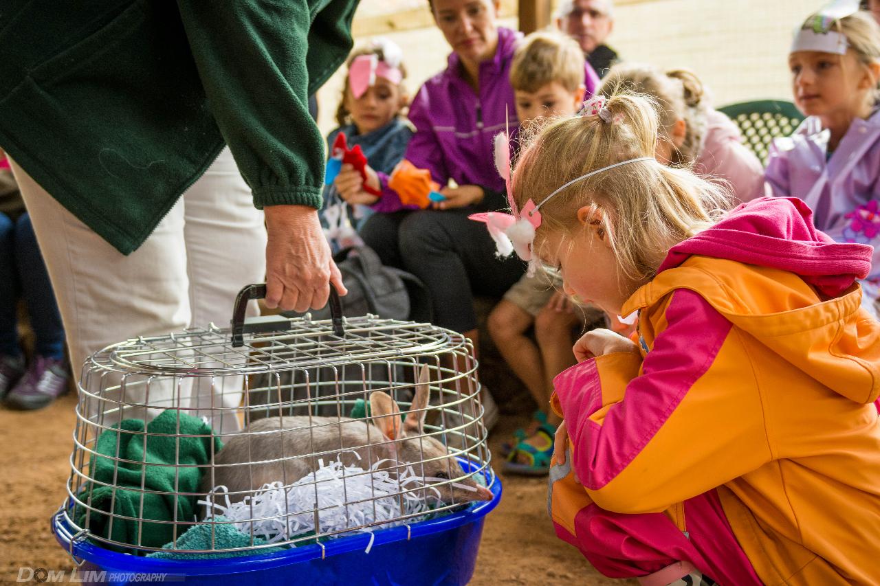 Easter Bilby Family Fun Day