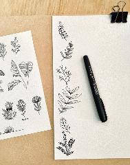 Drawing Native Flowers Tutorial with Open Hands Creative 