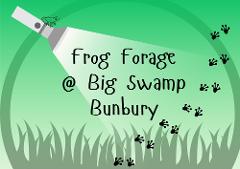 Frog Forage @ Big Swamp, Bunbury