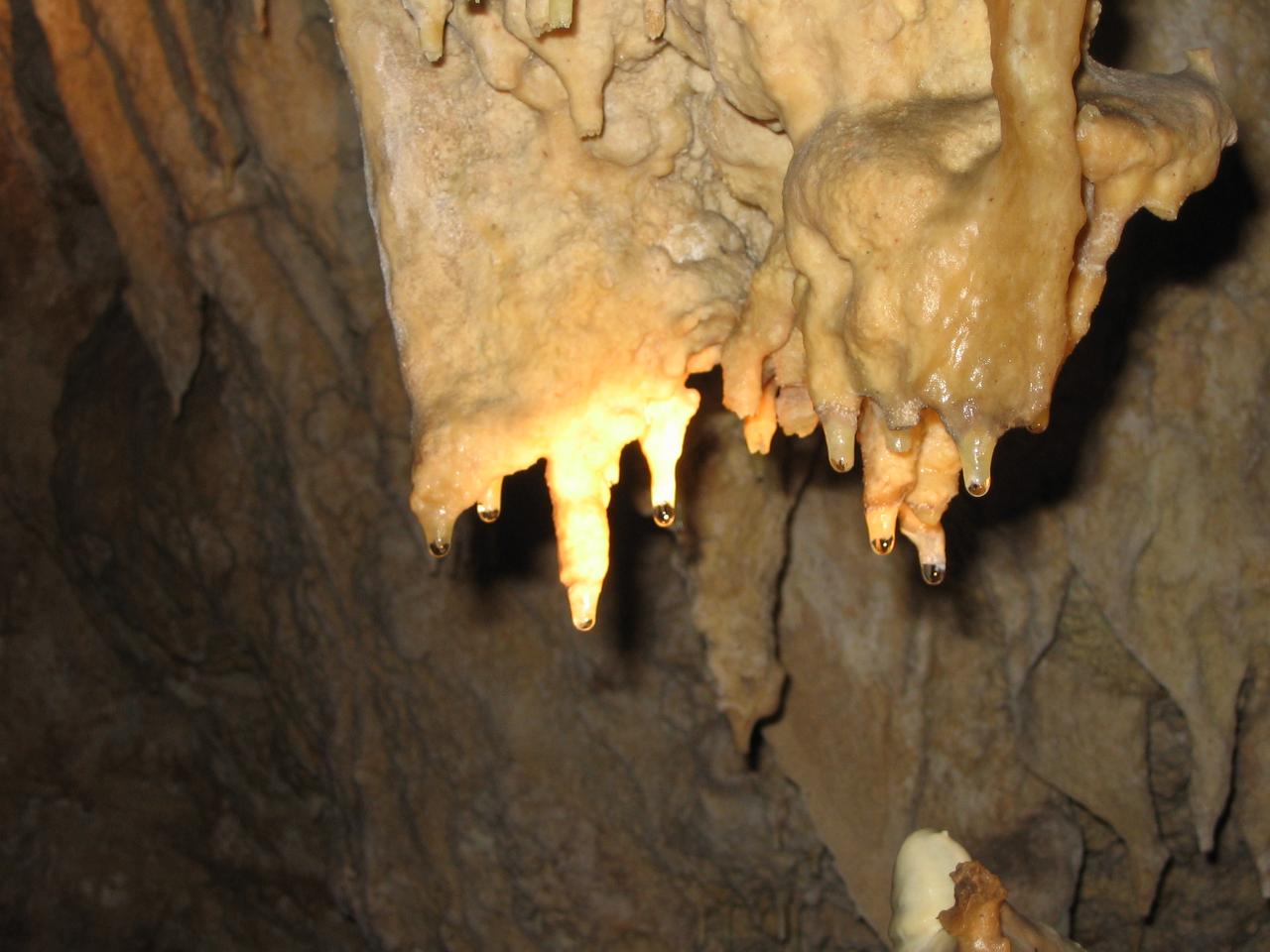Yonderup Cave Tour