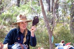 Home School Activity - Busy In The Forest @ RAC Nature Park Margaret River