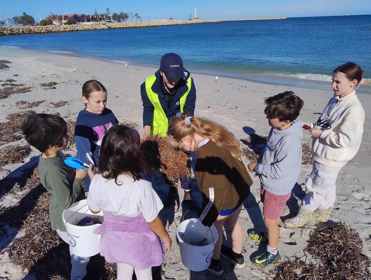 Beach Exploration - Hillarys (7-12yrs)
