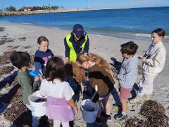 Beach Exploration - Hillarys (7-12yrs)