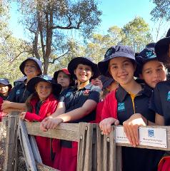 Conservation Projects - Bush Ranger and River Ranger Cadets