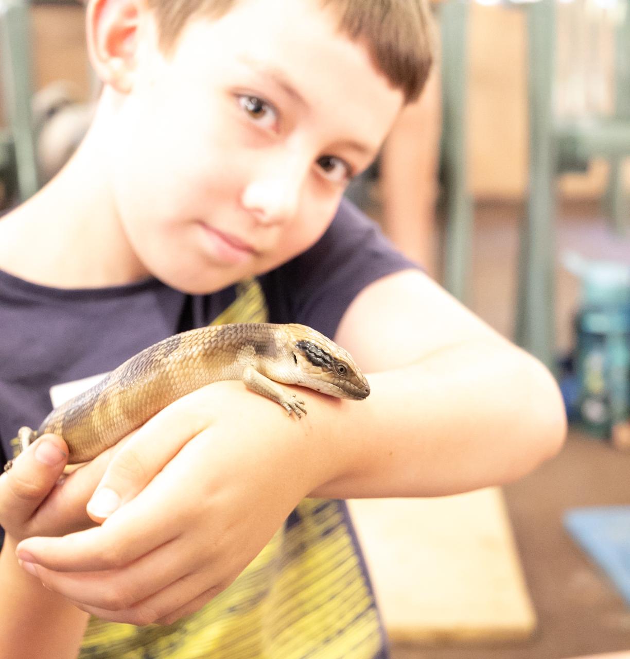 SW Reptile Encounter @ Wellington Discovery Forest