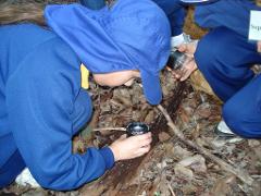 Forest Explorers - self-guided forest walk -Perth Metro