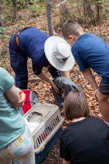 Junior Wildlife Ranger (4-8yrs)