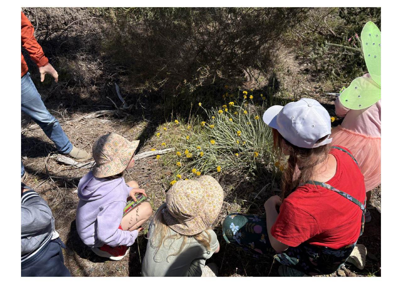 Little Bee Explorers: Meet the Scientist (3-6yrs)