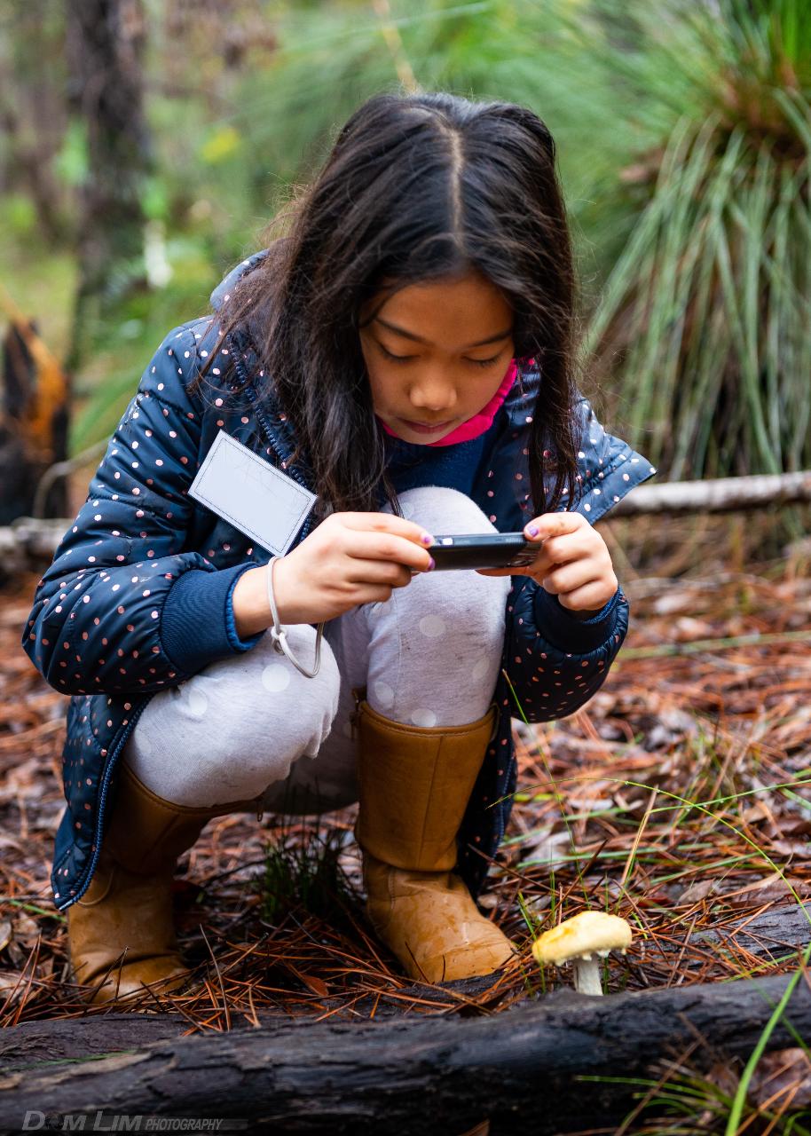 Mini Mycologists