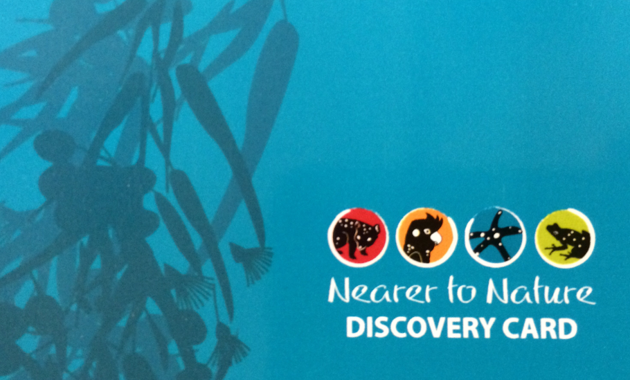 N2N Discovery Club Membership