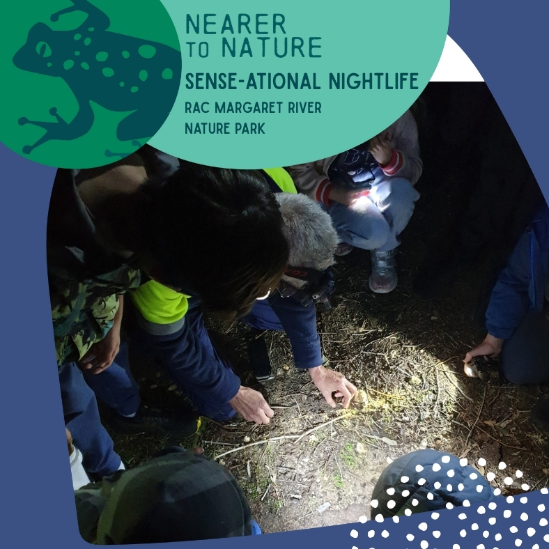 Sense-ational Nightlife @ RAC Nature Park Margaret River