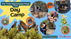 Naturescape Day Camp