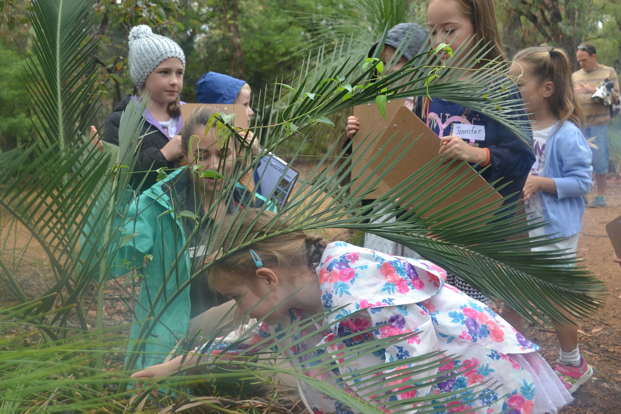 Plant Detectives Parks and Wildlife Service WA Reservations