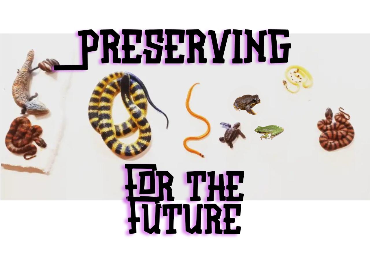 Preserving for the Future