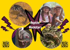 Reptile Rockstars (7-12yrs)