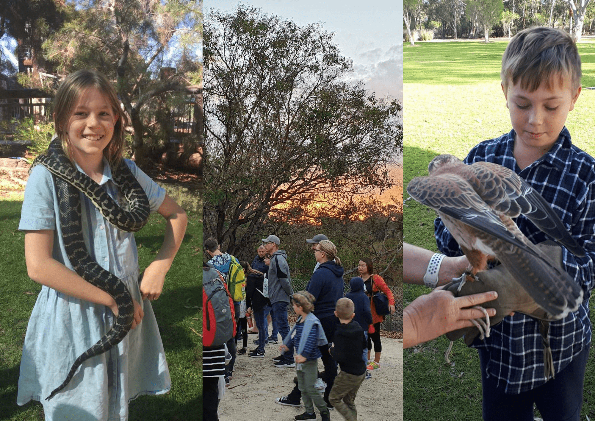 Scales and Tails (PLEEC) Parks and Wildlife Service WA Reservations