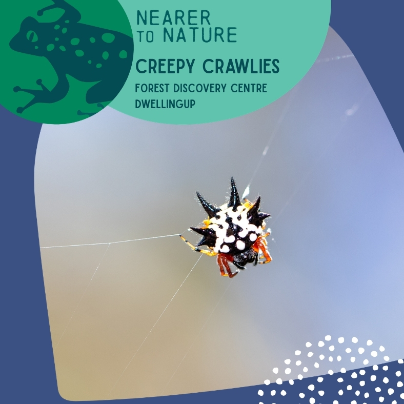 Creepy Crawlies @ Dwellingup