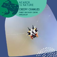 Creepy Crawlies @ Dwellingup