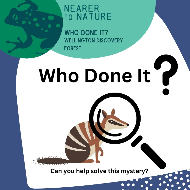 Who Done It? @ Wellington Discovery Forest