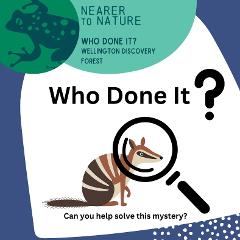 Who Done It? @ Wellington Discovery Forest