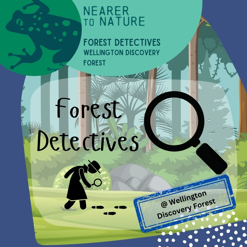 Forest Detectives + Sense Trail @ Wellington Discovery Forest