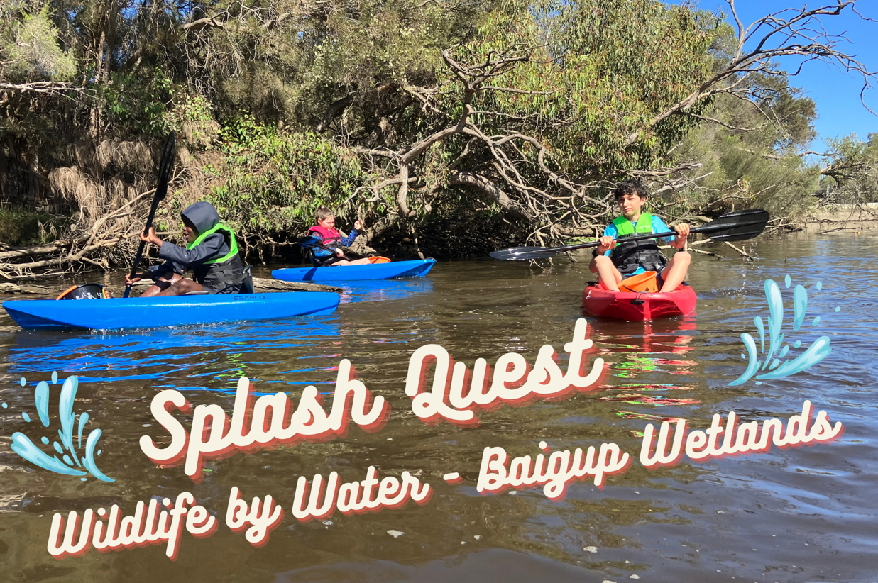 Splash Quest: Wildlife by Water - Baigup Wetlands 
