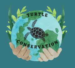 Turtle Conservation at AQWA