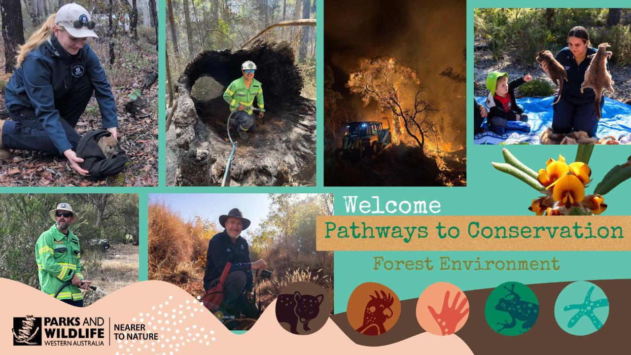 Pathways to Conservation (14-25 yrs) Forest Environment - WDF