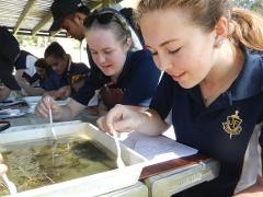 River and wetlands ecosystems-Perth Metro