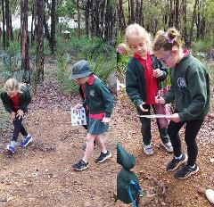 Wildlife wonders-Perth Metro