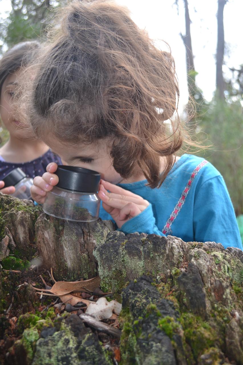 "I Spy" sensory walk - self guided - Free-Perth Metro