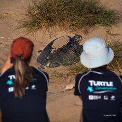 Jurabi Turtle Education Eco-tour