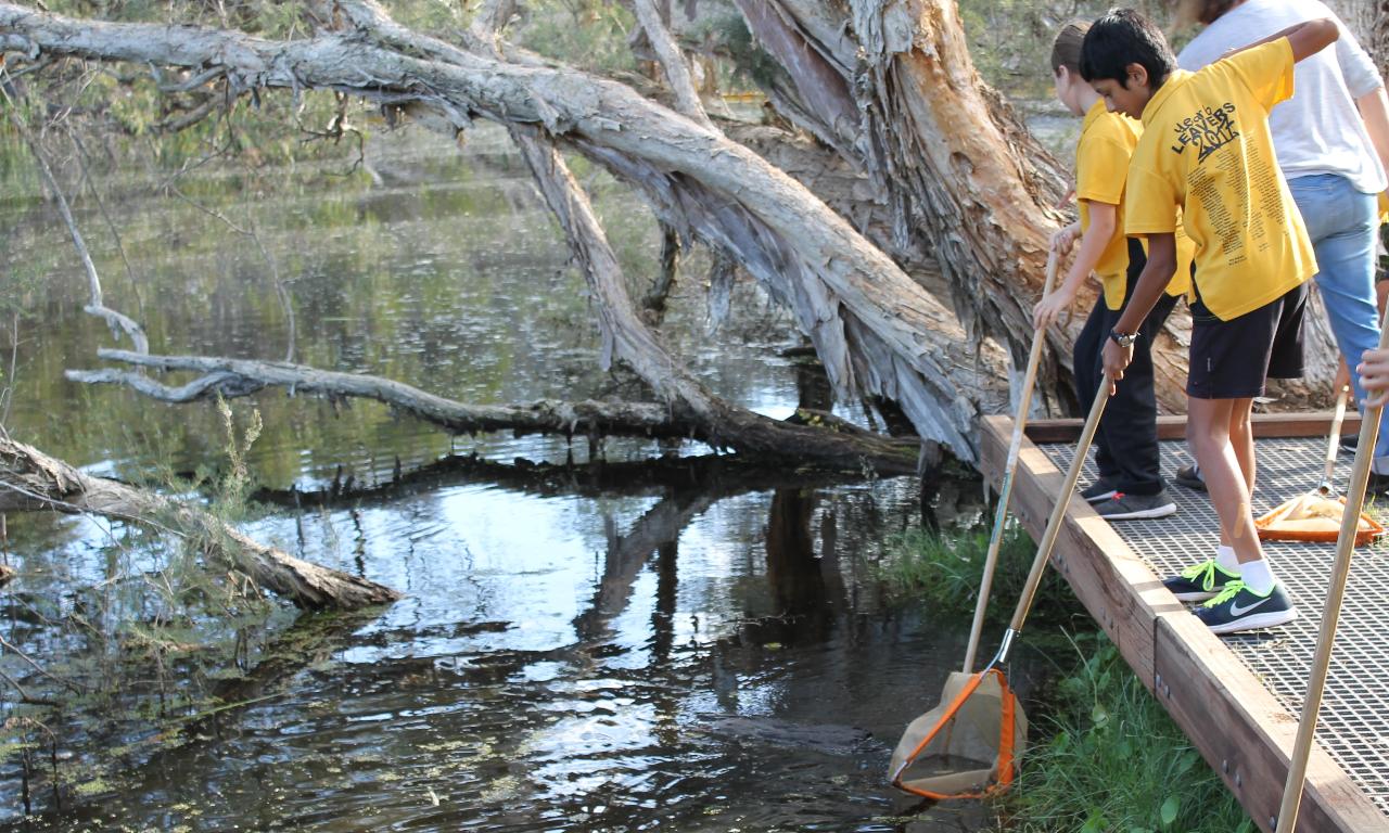 SIGNALs in the stream - WWS