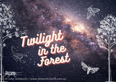 Twilight in the Forest
