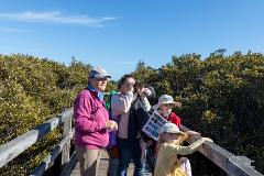 Life Amongst the Mangroves