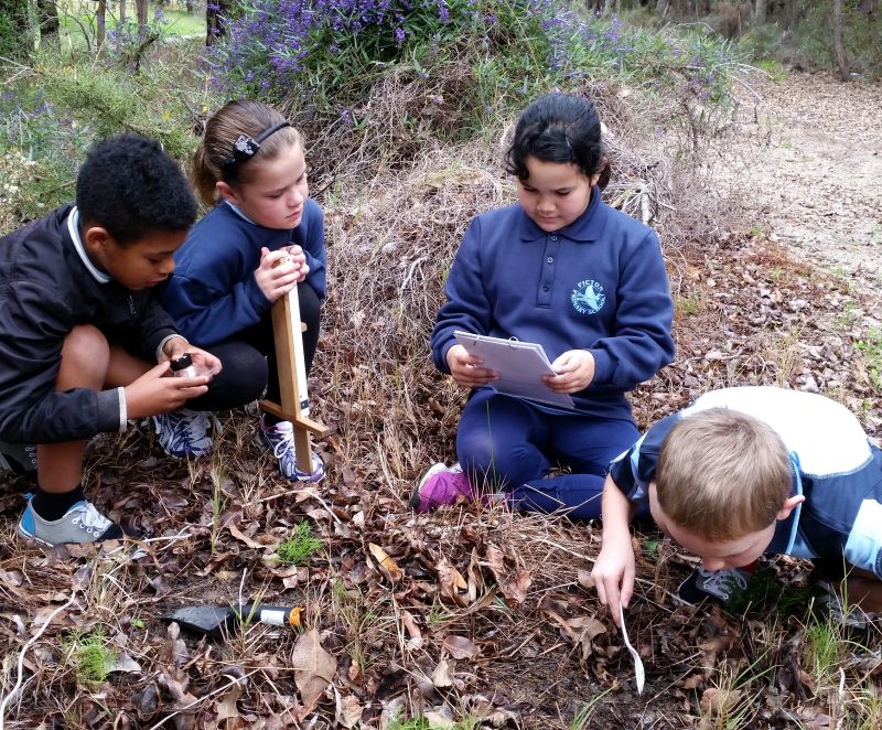 Incredible invertebrates - Incursion