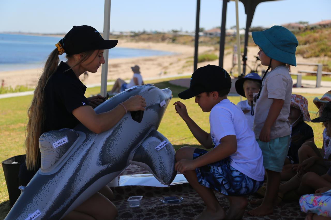 Dolphin Discovery- Burswood Park 