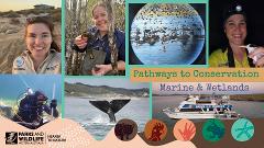 Pathways to Conservation (14-25 yrs) Marine and Wetlands - Busselton CRC