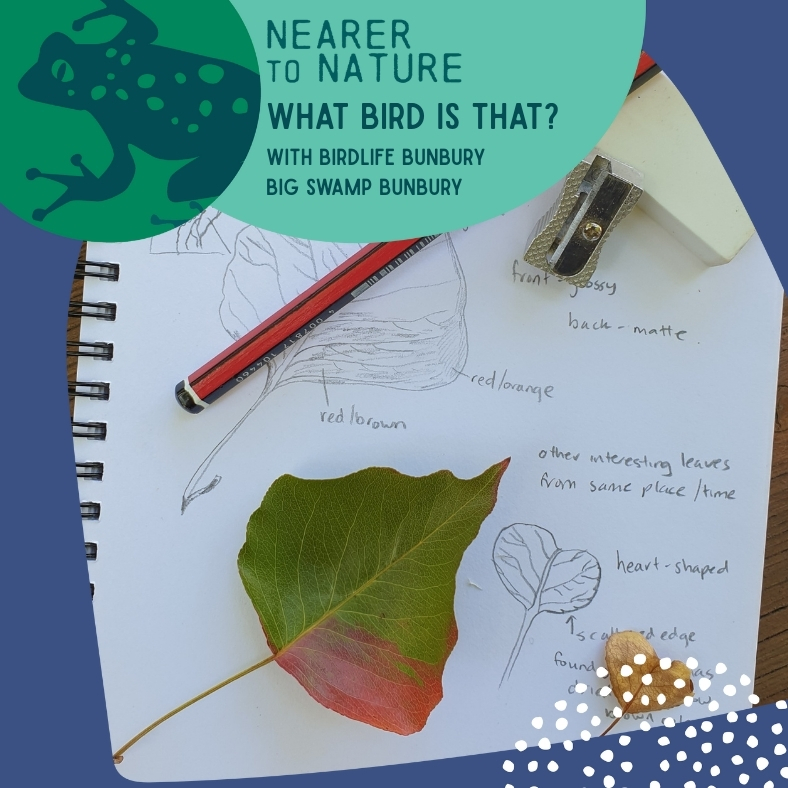 Nature Journaling for Kids @ Wellington Discovery Forest