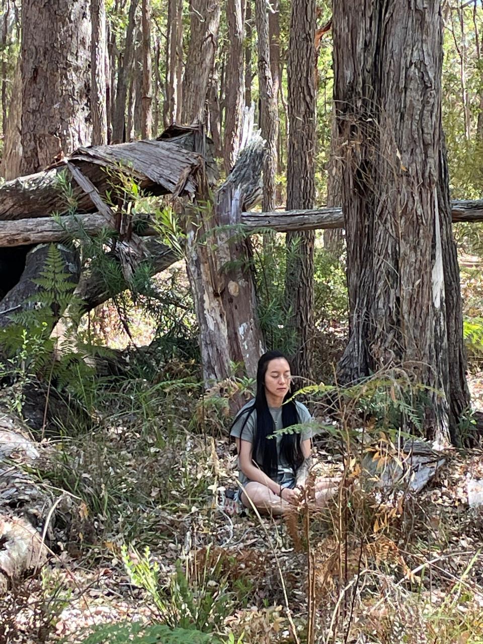 Forest Meditation @ Wellington Discovery Forest