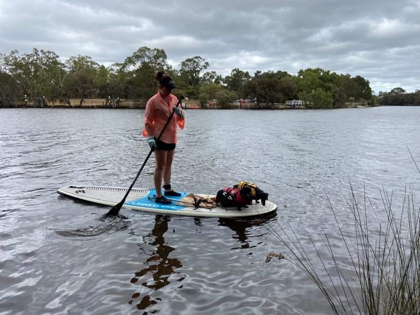 Clean Up on a SUP-Board Hire