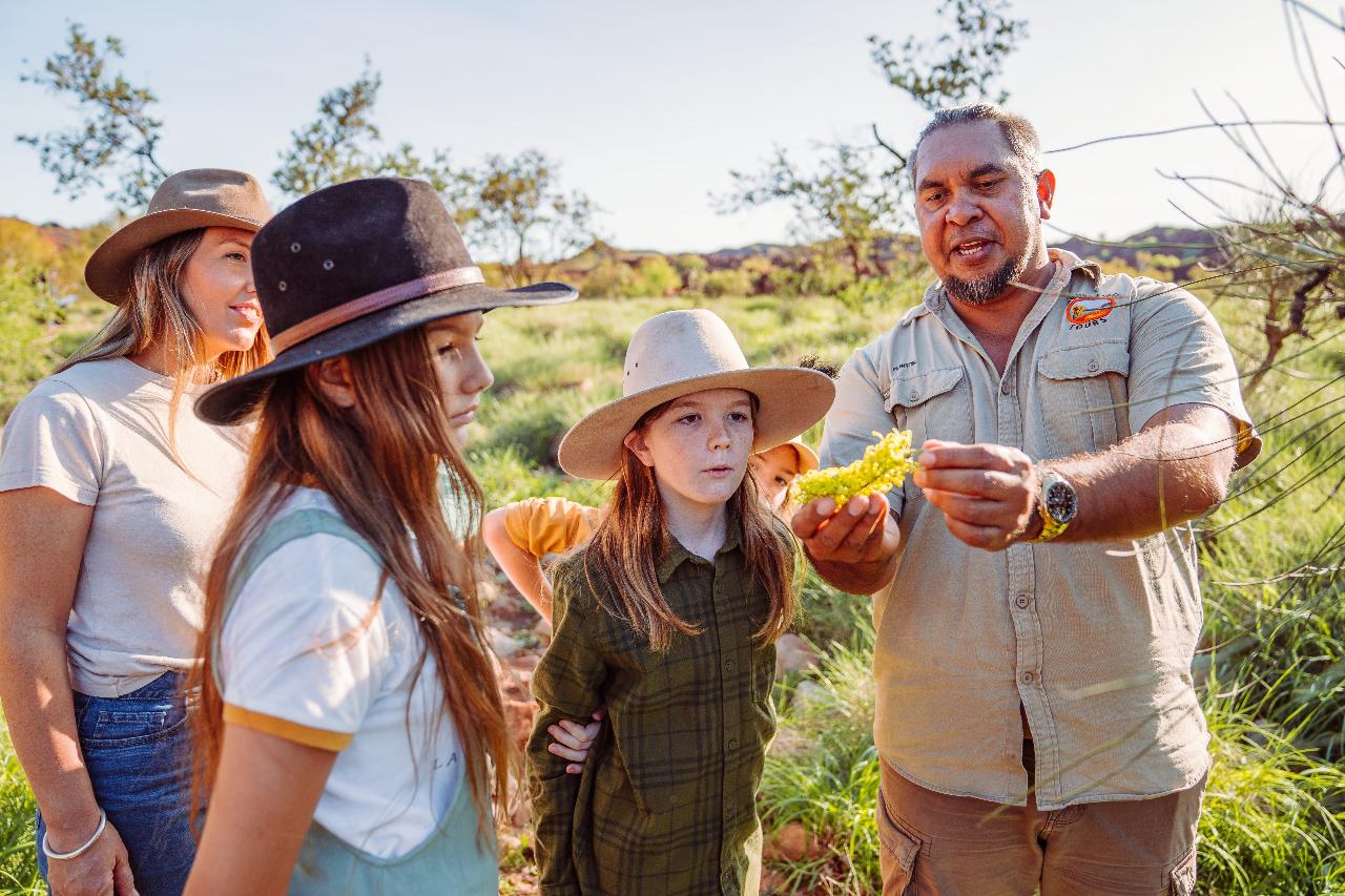 Bush Medicine Workshop