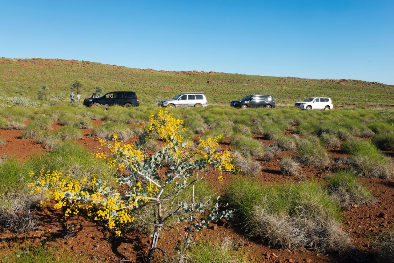 Corporate 4WD Tag-along Camping Tour