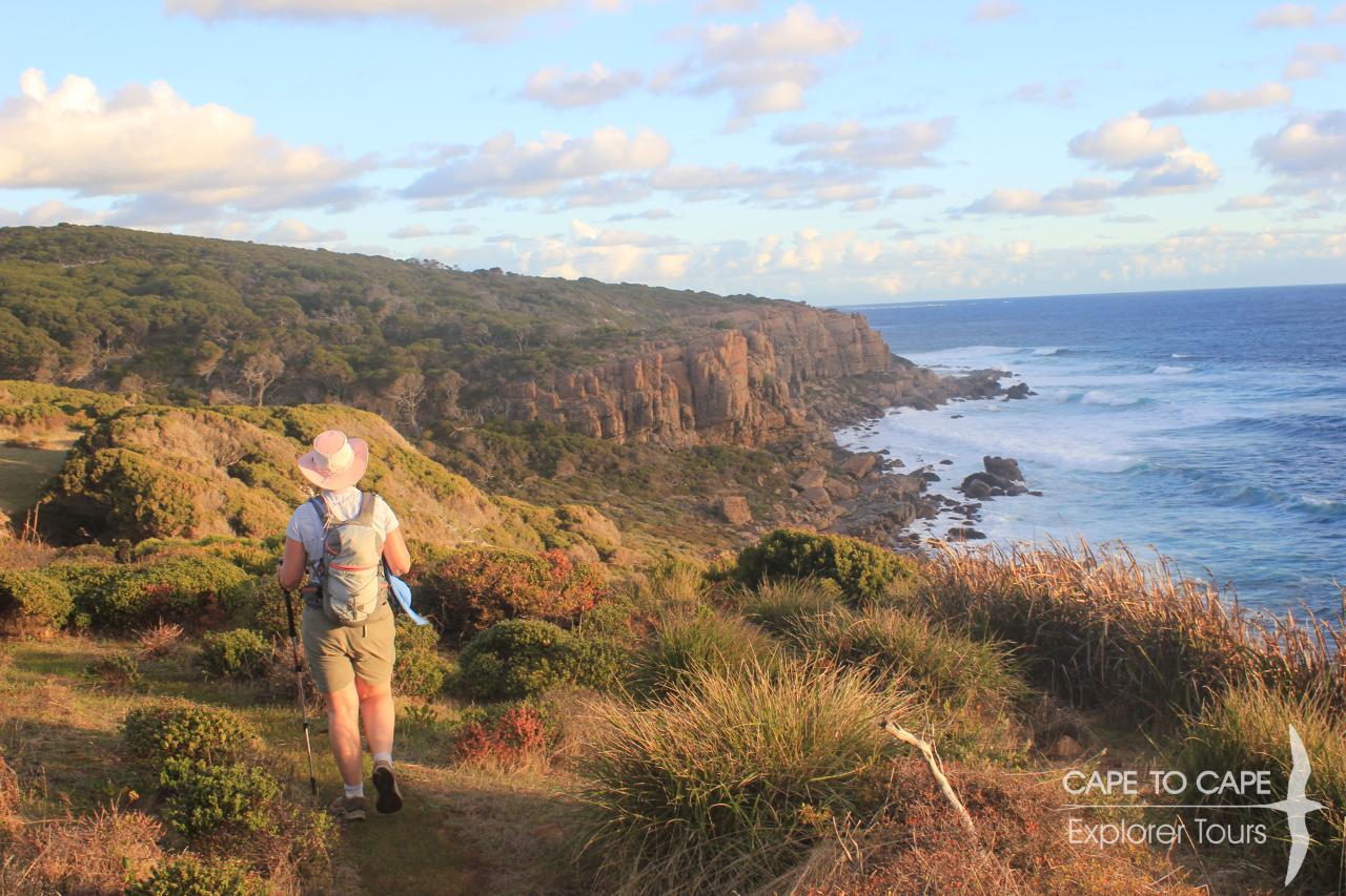 4 Day Ultimate Guided Cape to Cape Experience