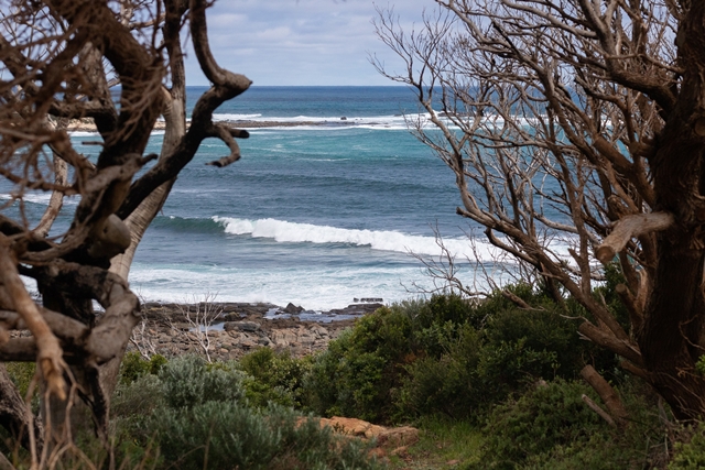 Cape to Vine Tour - Smiths Beach