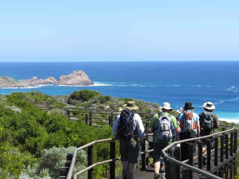 Full Day Guided Hike on the Cape to Cape Track