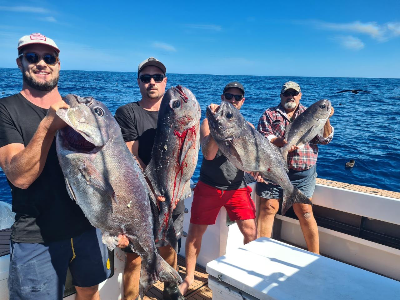 White Island Fishing - Single Seats